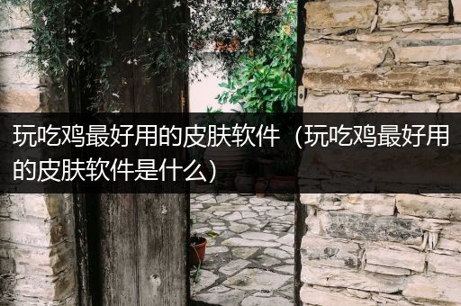 玩吃鸡最好用的皮肤软件（玩吃鸡最好用的皮肤软件是什么）