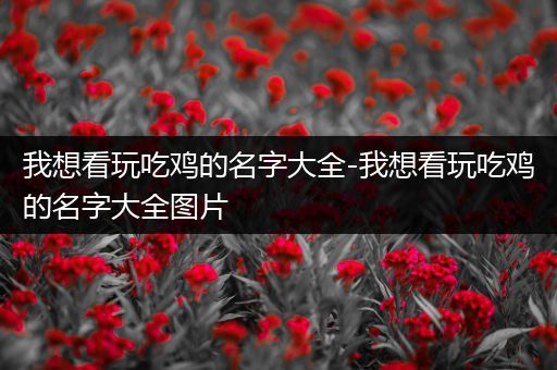 我想看玩吃鸡的名字大全-我想看玩吃鸡的名字大全图片