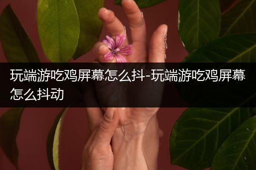 玩端游吃鸡屏幕怎么抖-玩端游吃鸡屏幕怎么抖动