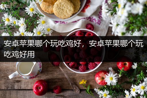 安卓苹果哪个玩吃鸡好，安卓苹果哪个玩吃鸡好用