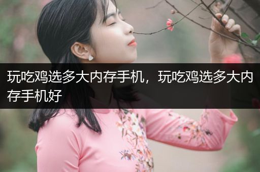 玩吃鸡选多大内存手机，玩吃鸡选多大内存手机好