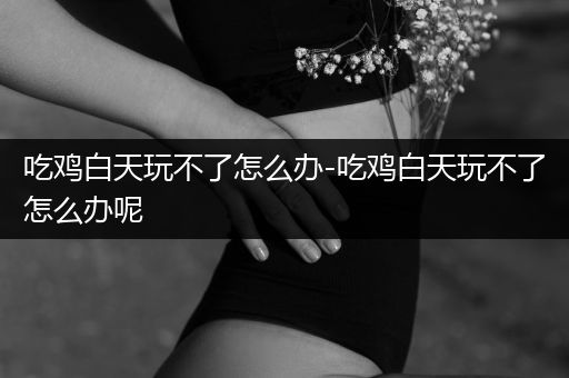 吃鸡白天玩不了怎么办-吃鸡白天玩不了怎么办呢