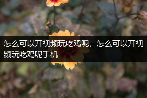 怎么可以开视频玩吃鸡呢，怎么可以开视频玩吃鸡呢手机