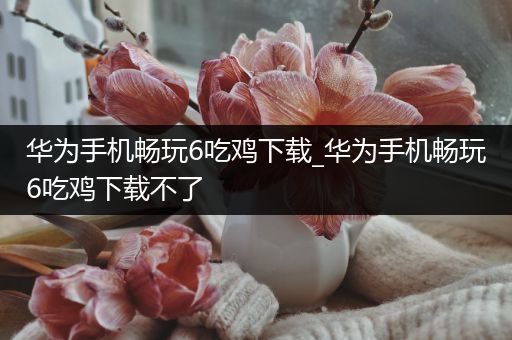 华为手机畅玩6吃鸡下载_华为手机畅玩6吃鸡下载不了