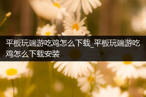 平板玩端游吃鸡怎么下载_平板玩端游吃鸡怎么下载安装