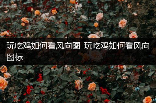 玩吃鸡如何看风向图-玩吃鸡如何看风向图标