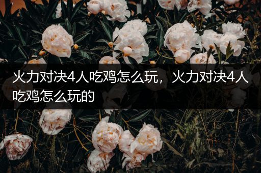 火力对决4人吃鸡怎么玩，火力对决4人吃鸡怎么玩的