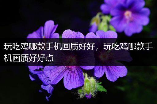 玩吃鸡哪款手机画质好好，玩吃鸡哪款手机画质好好点