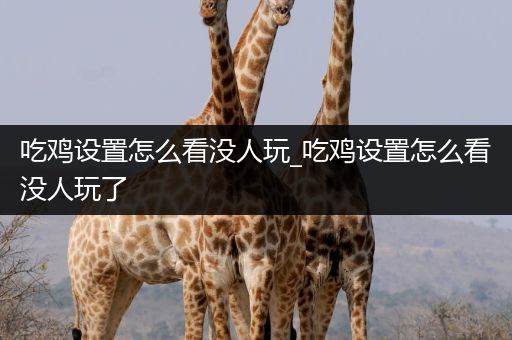 吃鸡设置怎么看没人玩_吃鸡设置怎么看没人玩了