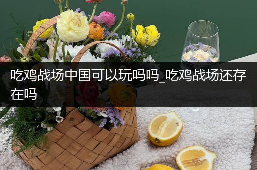 吃鸡战场中国可以玩吗吗_吃鸡战场还存在吗