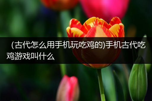 （古代怎么用手机玩吃鸡的)手机古代吃鸡游戏叫什么