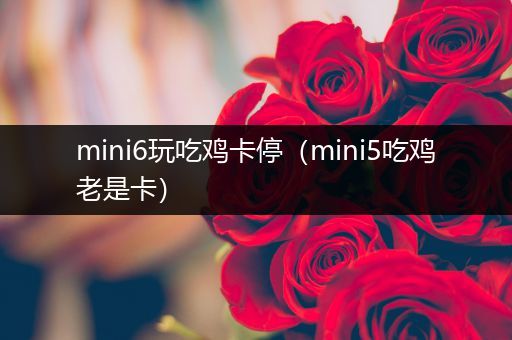 mini6玩吃鸡卡停（mini5吃鸡老是卡）