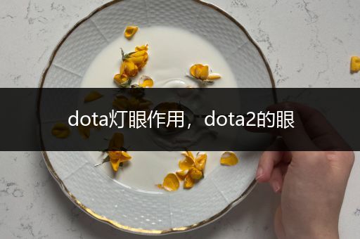 dota灯眼作用，dota2的眼
