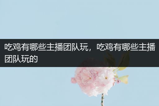 吃鸡有哪些主播团队玩，吃鸡有哪些主播团队玩的