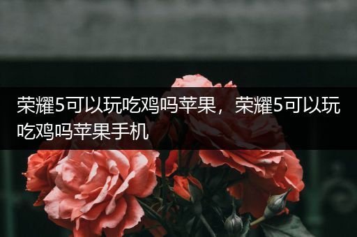 荣耀5可以玩吃鸡吗苹果，荣耀5可以玩吃鸡吗苹果手机