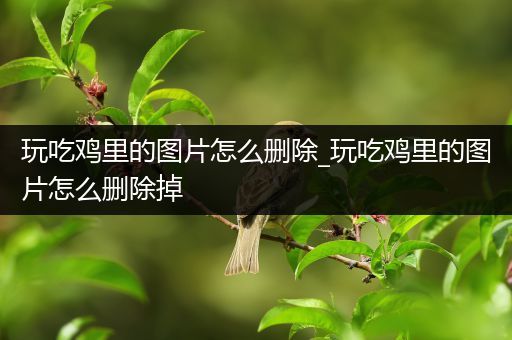 玩吃鸡里的图片怎么删除_玩吃鸡里的图片怎么删除掉