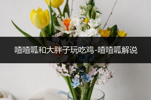 喳喳呱和大胖子玩吃鸡-喳喳呱解说
