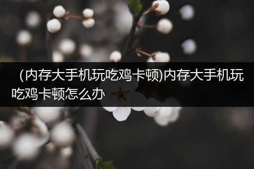（内存大手机玩吃鸡卡顿)内存大手机玩吃鸡卡顿怎么办