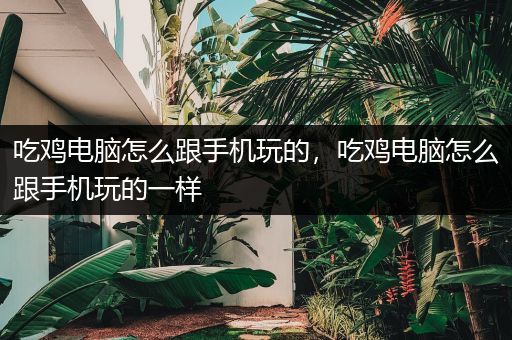 吃鸡电脑怎么跟手机玩的，吃鸡电脑怎么跟手机玩的一样