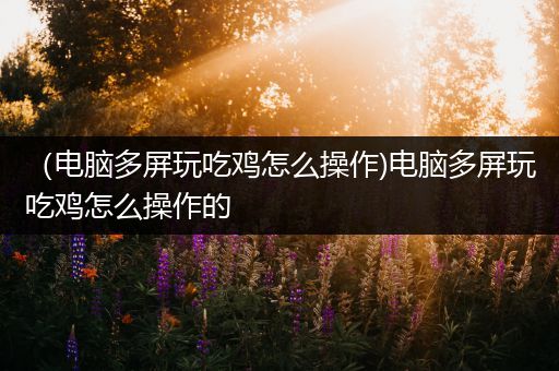 （电脑多屏玩吃鸡怎么操作)电脑多屏玩吃鸡怎么操作的