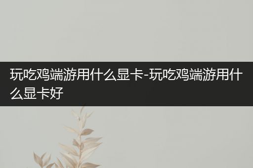 玩吃鸡端游用什么显卡-玩吃鸡端游用什么显卡好