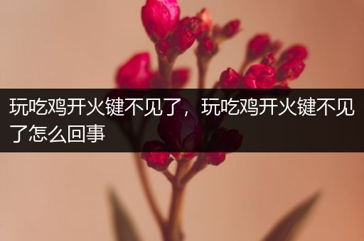 玩吃鸡开火键不见了，玩吃鸡开火键不见了怎么回事