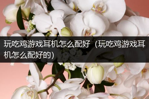 玩吃鸡游戏耳机怎么配好（玩吃鸡游戏耳机怎么配好的）