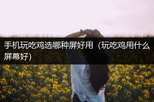 手机玩吃鸡选哪种屏好用（玩吃鸡用什么屏幕好）