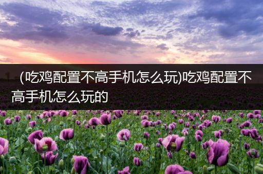 （吃鸡配置不高手机怎么玩)吃鸡配置不高手机怎么玩的