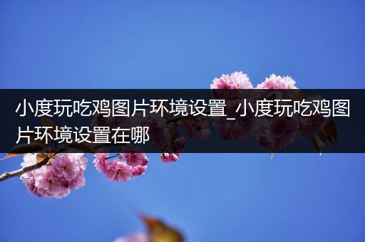 小度玩吃鸡图片环境设置_小度玩吃鸡图片环境设置在哪