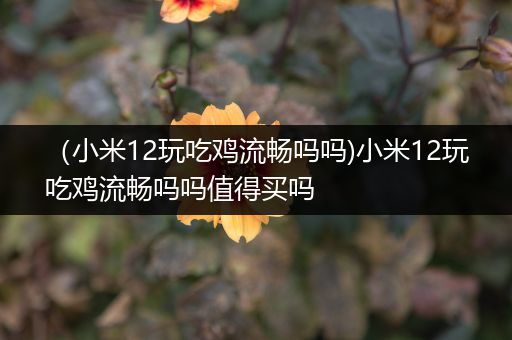 （小米12玩吃鸡流畅吗吗)小米12玩吃鸡流畅吗吗值得买吗