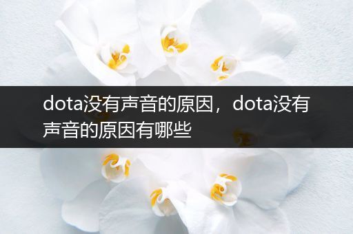 dota没有声音的原因，dota没有声音的原因有哪些