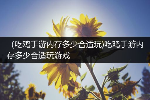 （吃鸡手游内存多少合适玩)吃鸡手游内存多少合适玩游戏