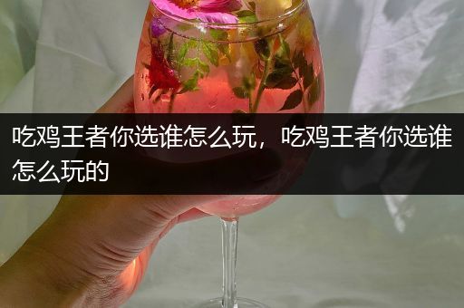 吃鸡王者你选谁怎么玩，吃鸡王者你选谁怎么玩的