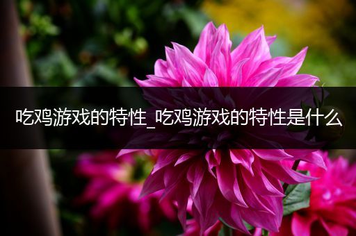 吃鸡游戏的特性_吃鸡游戏的特性是什么