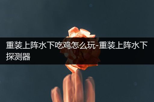 重装上阵水下吃鸡怎么玩-重装上阵水下探测器