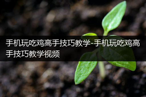 手机玩吃鸡高手技巧教学-手机玩吃鸡高手技巧教学视频