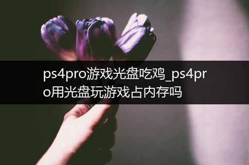 ps4pro游戏光盘吃鸡_ps4pro用光盘玩游戏占内存吗