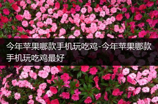 今年苹果哪款手机玩吃鸡-今年苹果哪款手机玩吃鸡最好