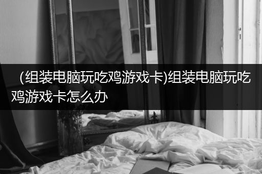 （组装电脑玩吃鸡游戏卡)组装电脑玩吃鸡游戏卡怎么办