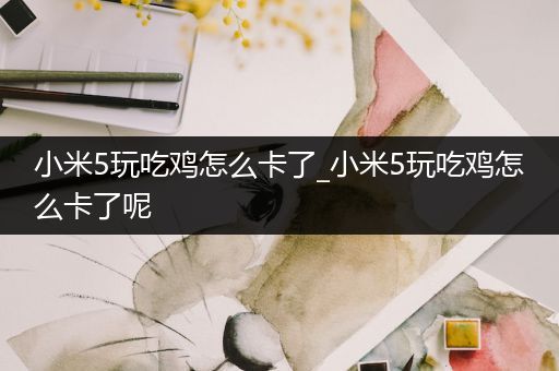 小米5玩吃鸡怎么卡了_小米5玩吃鸡怎么卡了呢
