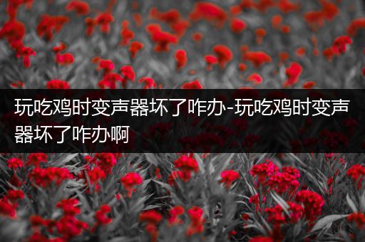 玩吃鸡时变声器坏了咋办-玩吃鸡时变声器坏了咋办啊