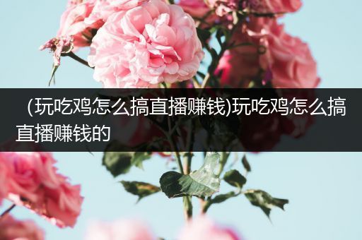 （玩吃鸡怎么搞直播赚钱)玩吃鸡怎么搞直播赚钱的