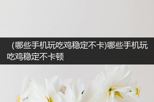 （哪些手机玩吃鸡稳定不卡)哪些手机玩吃鸡稳定不卡顿