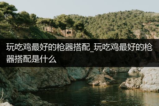 玩吃鸡最好的枪器搭配_玩吃鸡最好的枪器搭配是什么