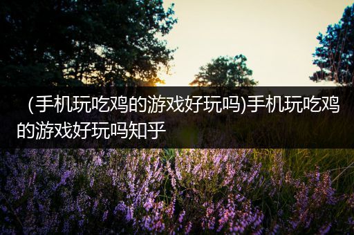 （手机玩吃鸡的游戏好玩吗)手机玩吃鸡的游戏好玩吗知乎