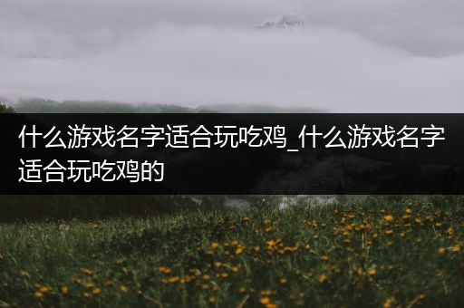 什么游戏名字适合玩吃鸡_什么游戏名字适合玩吃鸡的