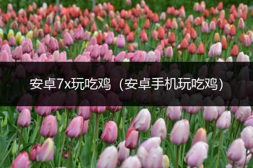 安卓7x玩吃鸡（安卓手机玩吃鸡）
