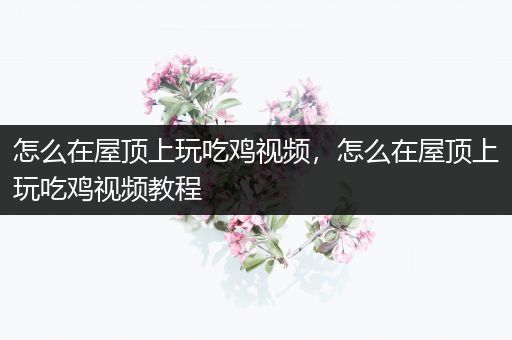 怎么在屋顶上玩吃鸡视频，怎么在屋顶上玩吃鸡视频教程