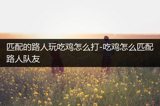 匹配的路人玩吃鸡怎么打-吃鸡怎么匹配路人队友